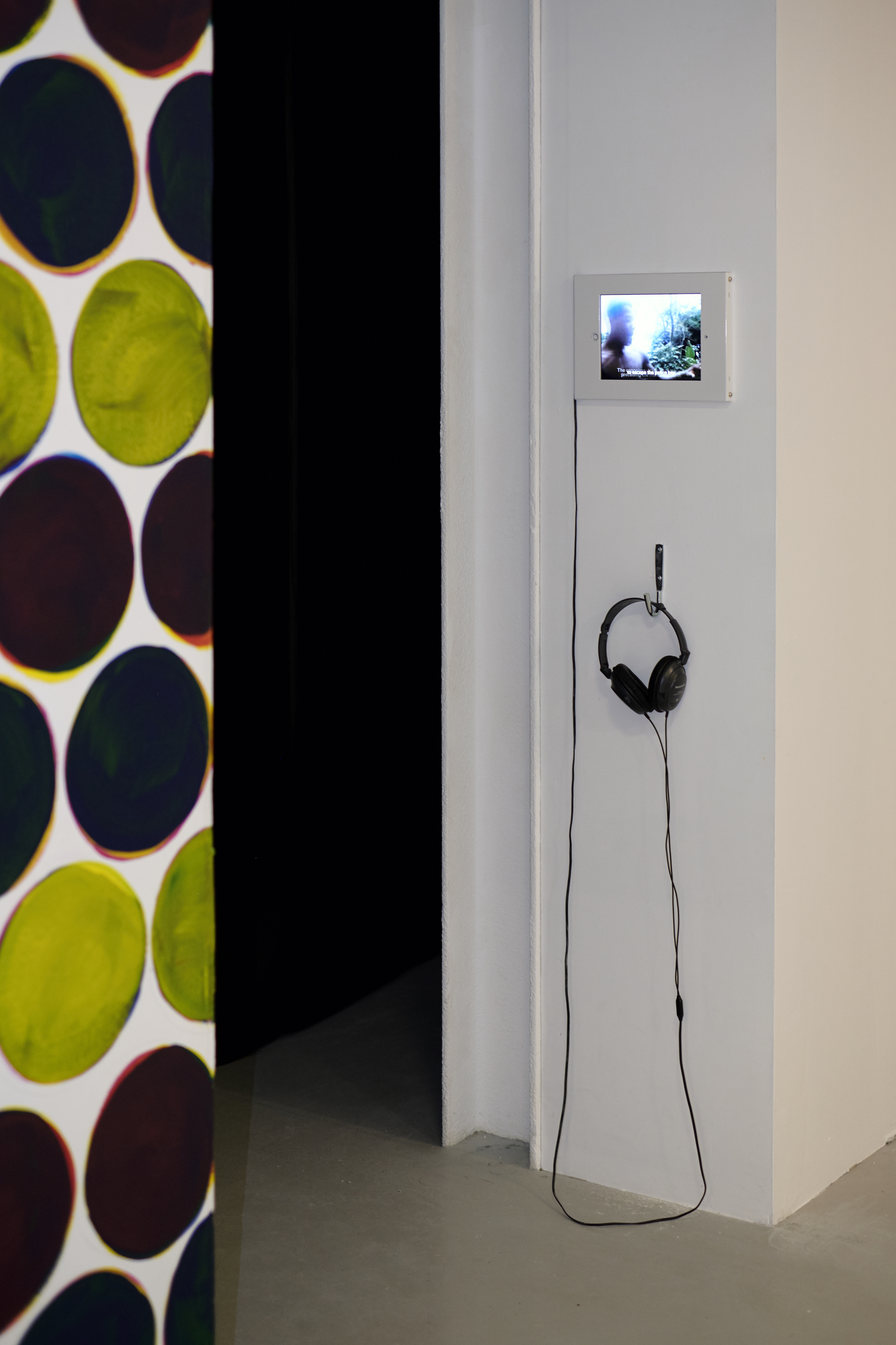 2018 - CCA Derry  - Smiling Sweating and Resisting -Bárbara Wagner &amp; Benjamin de Burca, Mitch Conlon, Sonia Boyce, Susan Connolly