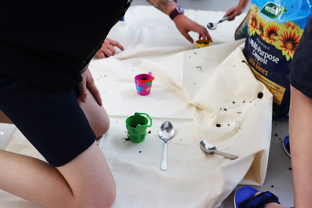 Summer Family Activity: Creating Companionship