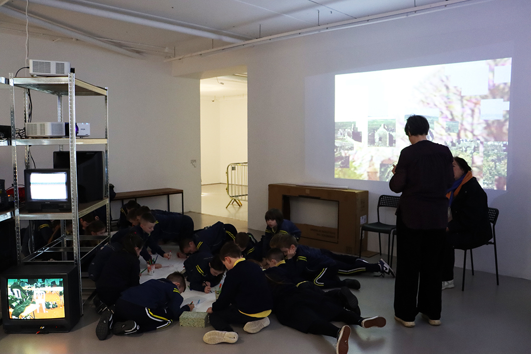 School's Programme: IT'S NOT CLEAR FROM HERE