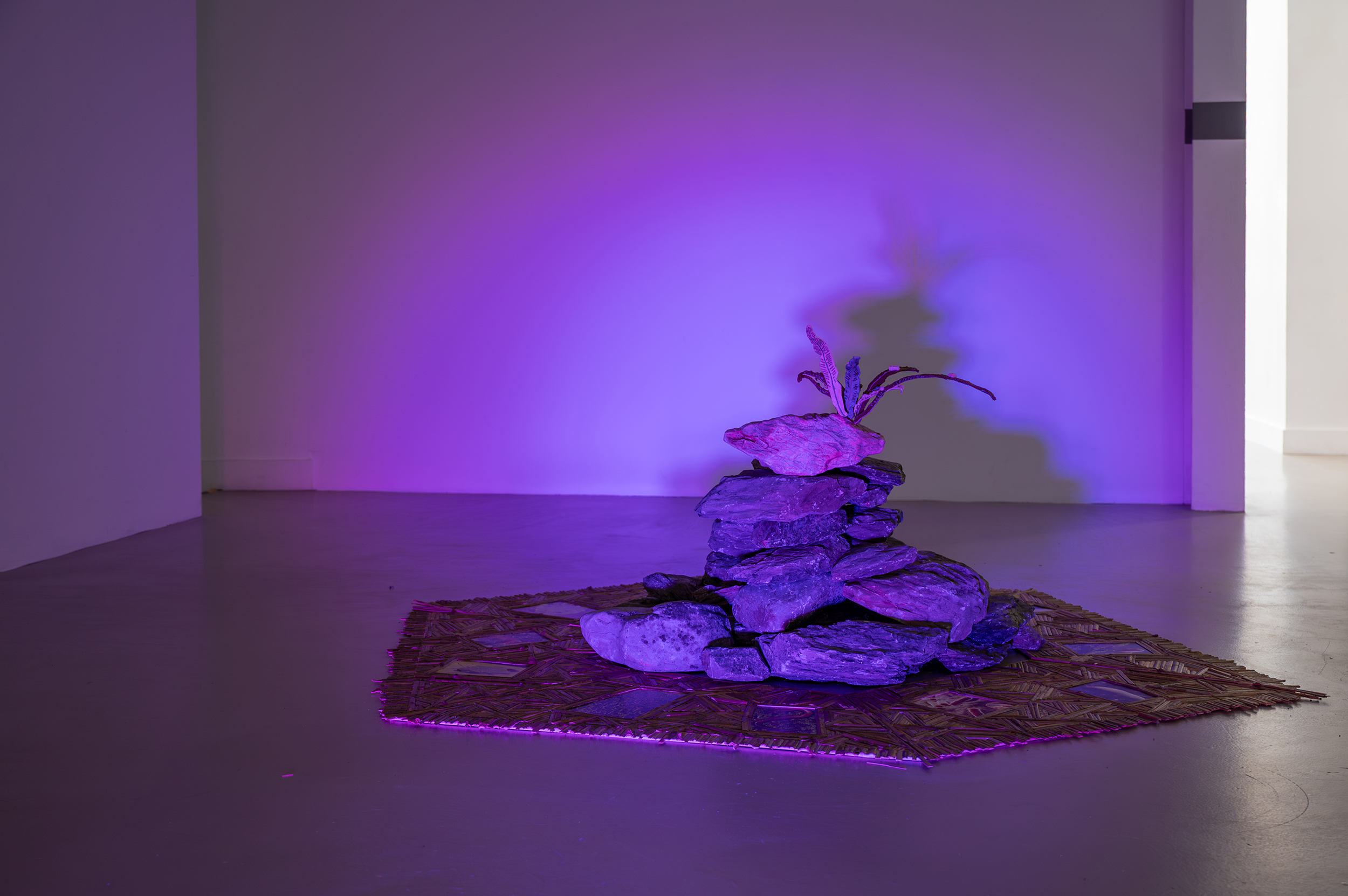 Love is blindly reaching out rhizoids and anchoring them to a rock