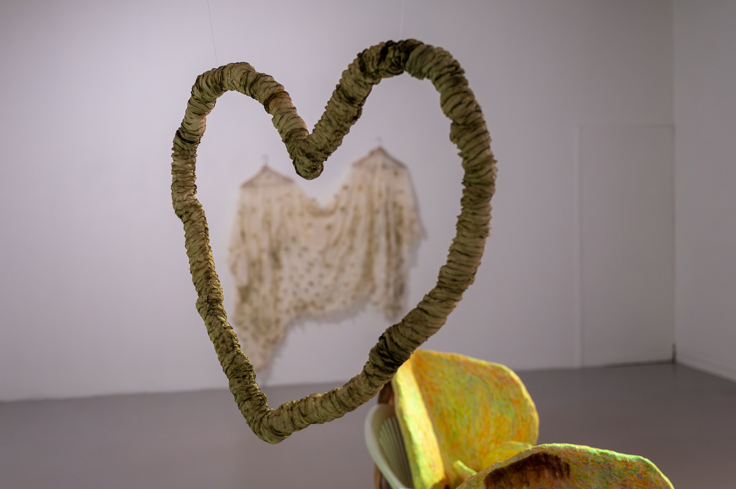 Love is blindly reaching out rhizoids and anchoring them to a rock