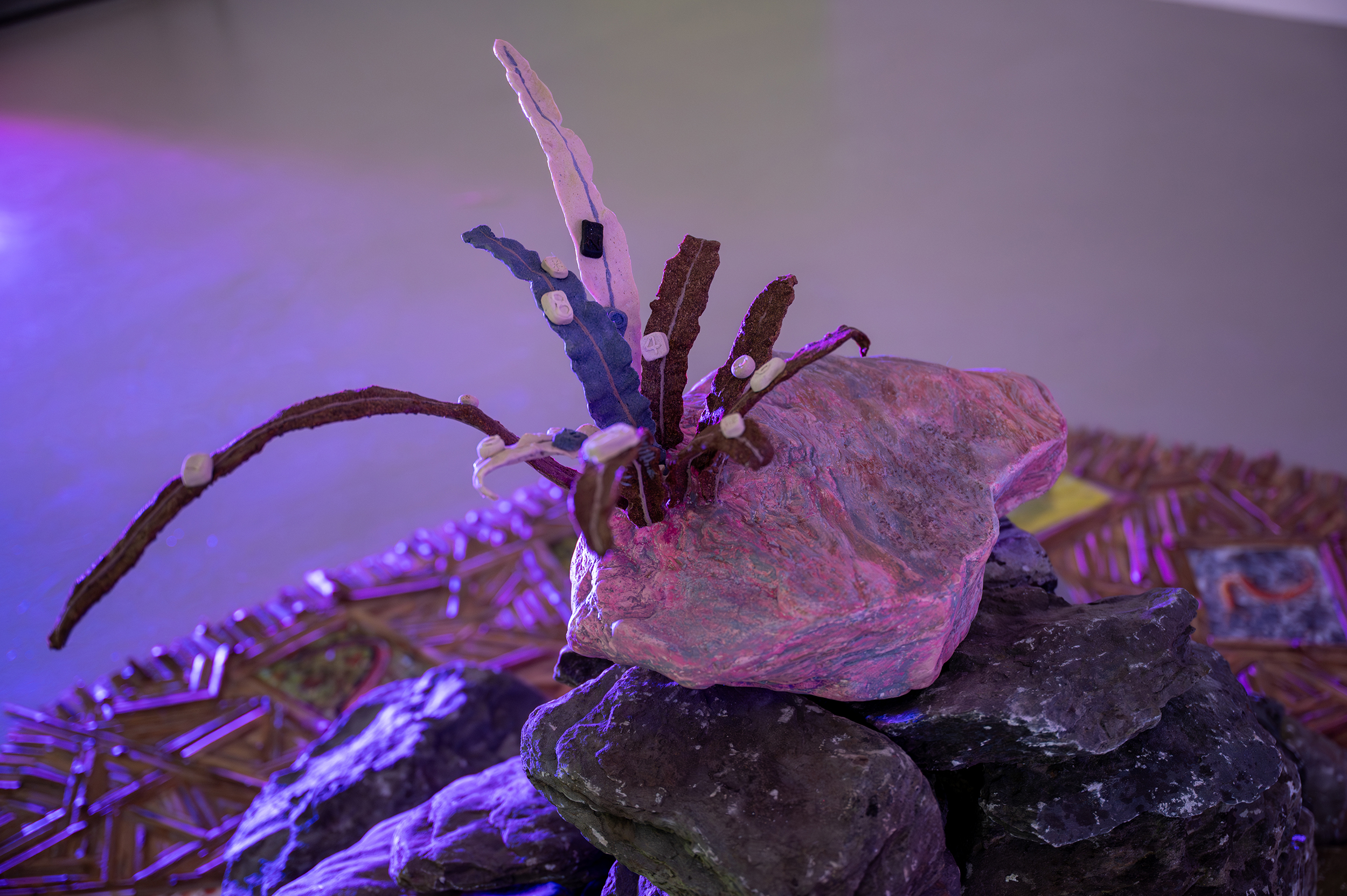 Love is blindly reaching out rhizoids and anchoring them to a rock
