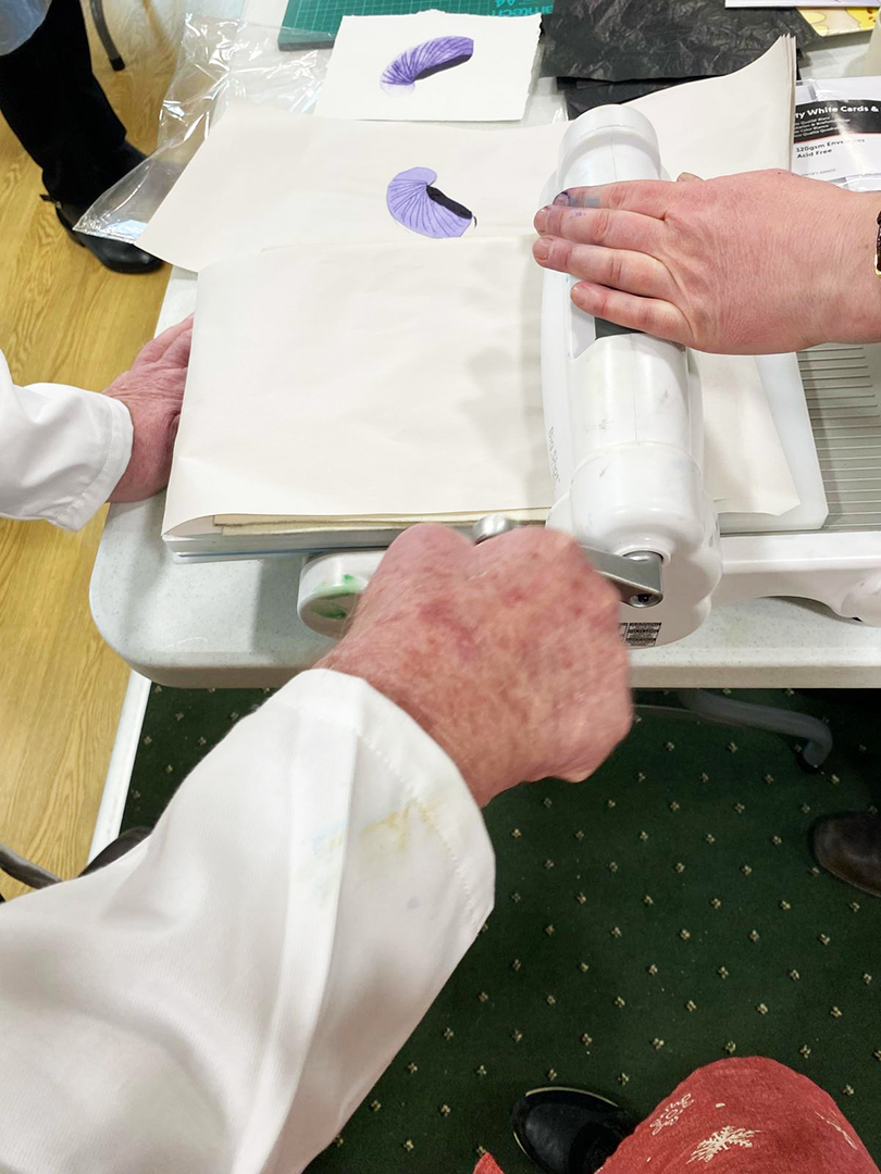 Positive Ageing Small Grants Programme