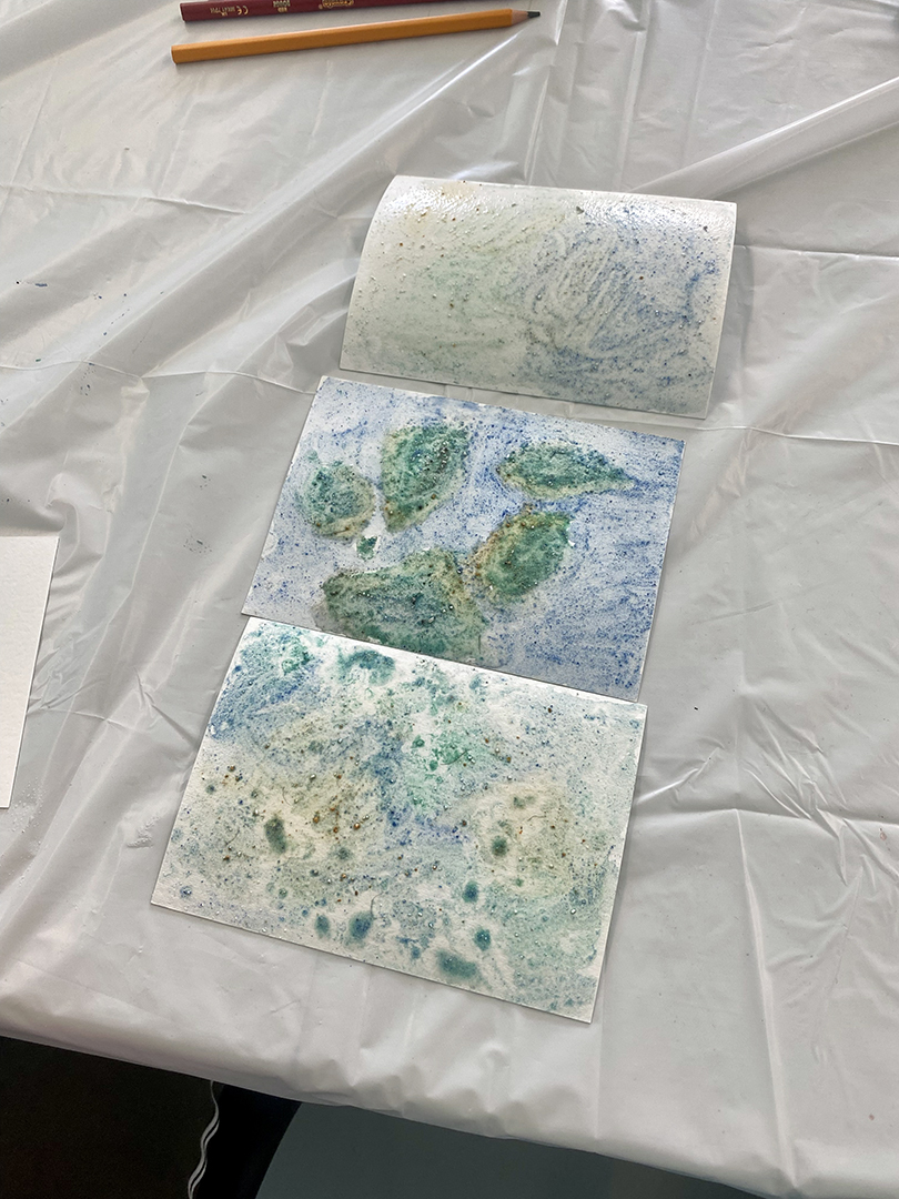 SAM'S EDEN: Family Activity