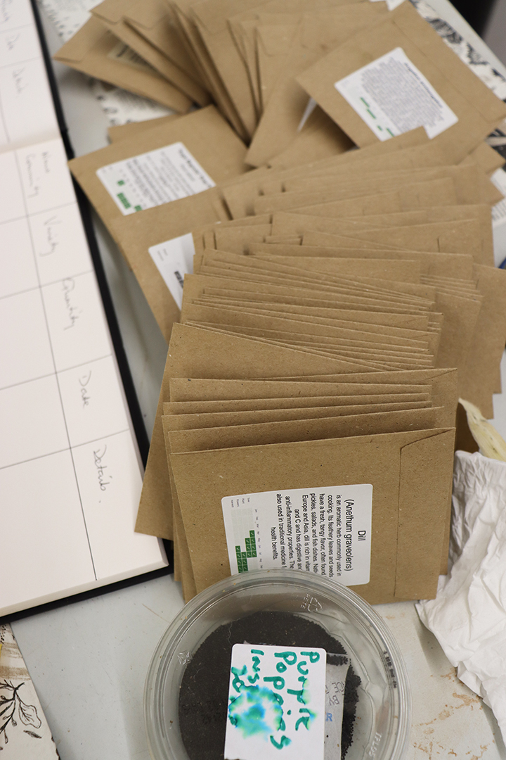 Seed Saving Celebration / Ag Céiliuruidh na Síoltai 2025