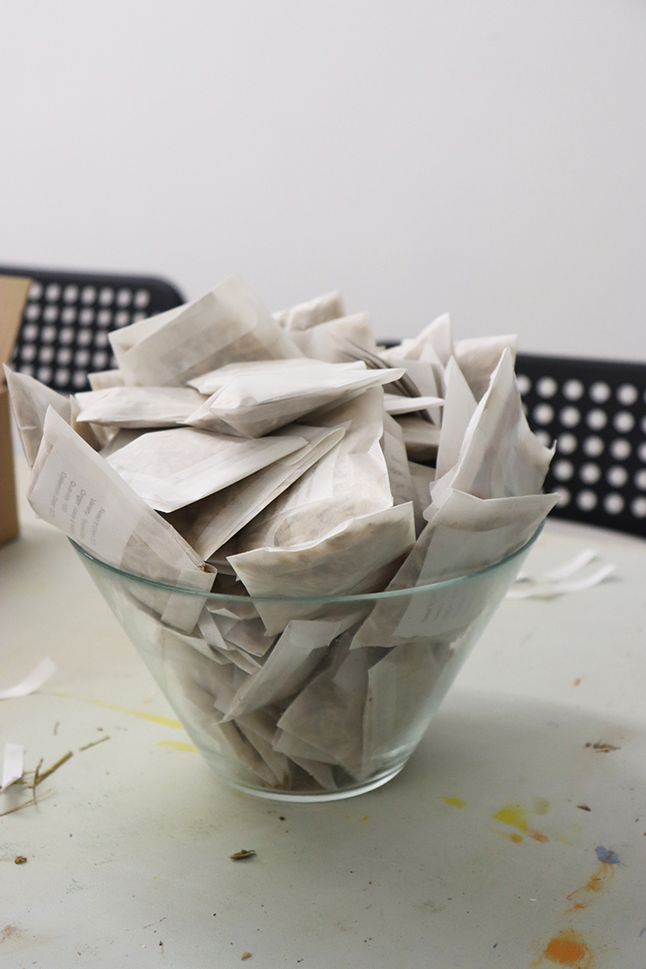 Seed Saving Celebration / Ag Céiliuruidh na Síoltai 2025