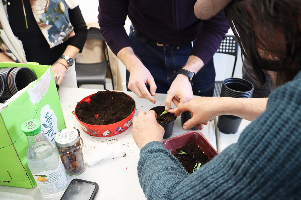 Seed Library Pop-Up & Workshop