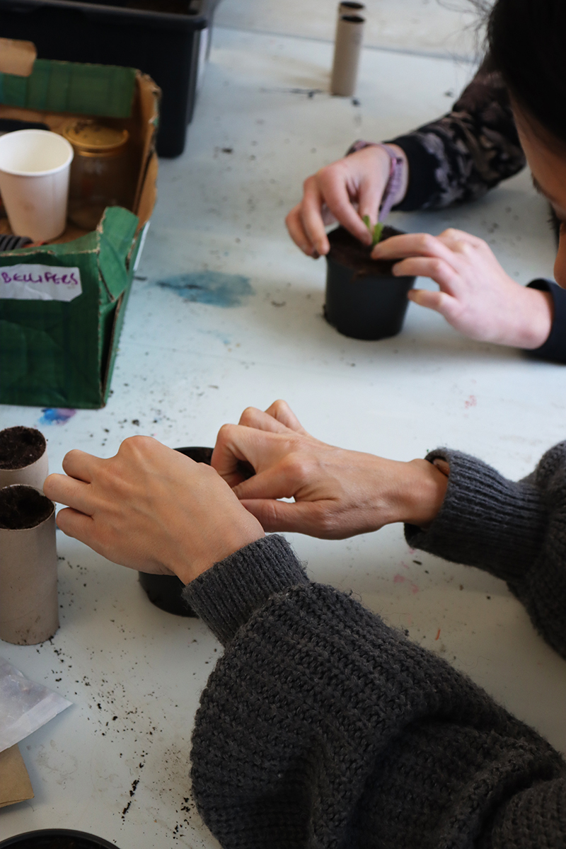 Seed Library Pop-Up & Workshop