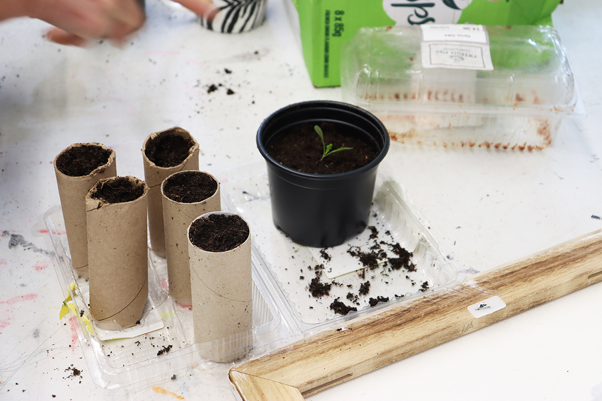 Seed Library Pop-Up & Workshop