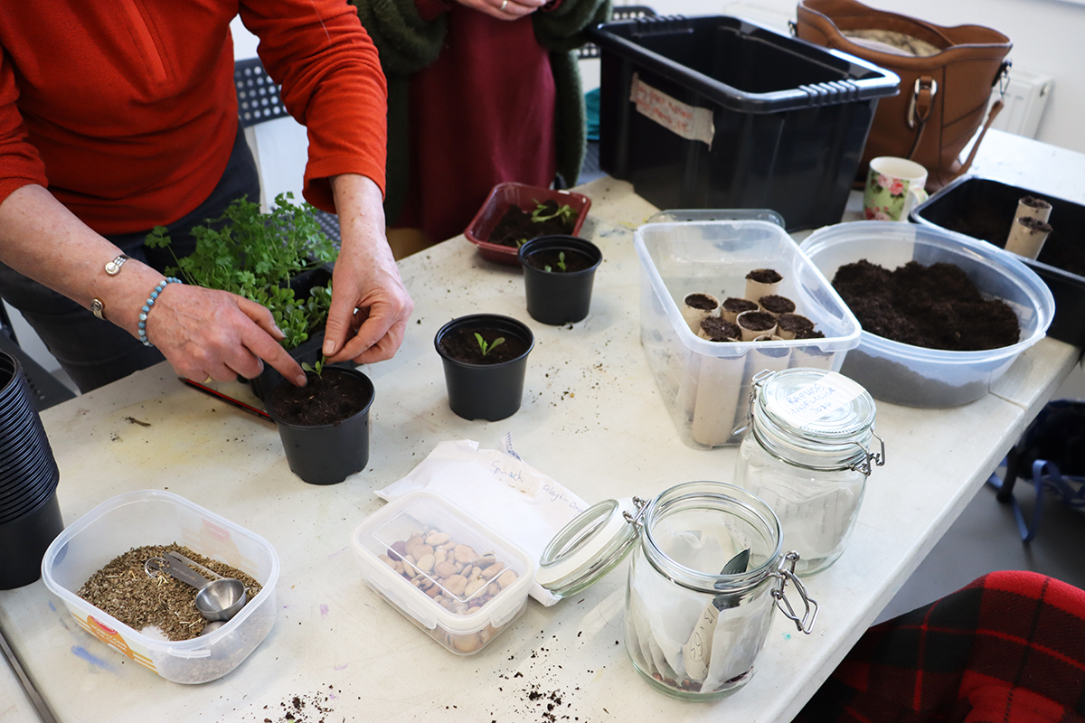 Seed Library Pop-Up & Workshop
