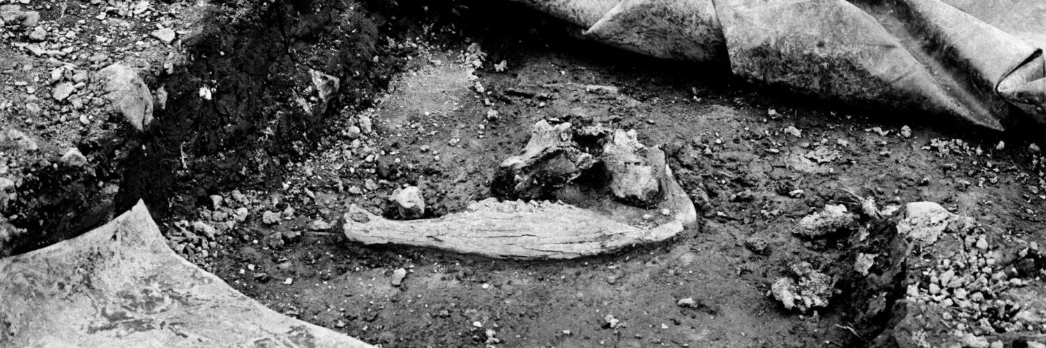 Christopher Steenson Kockanacuig 7