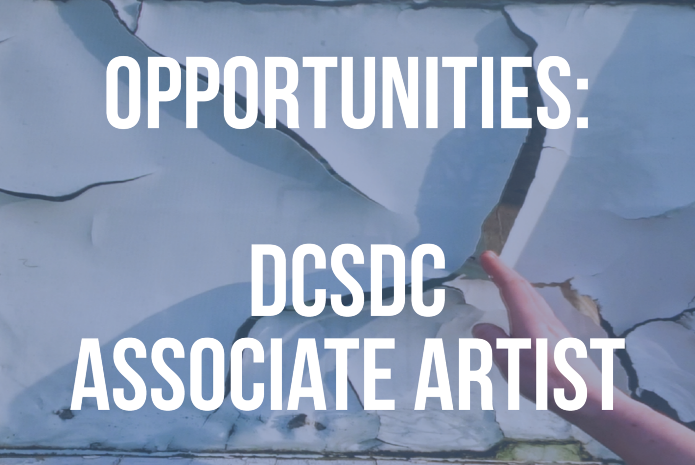Associate Artist call image 2026 3