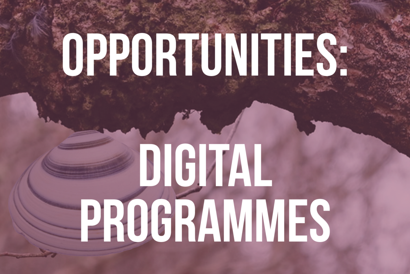 Digital Programmes call image 2027