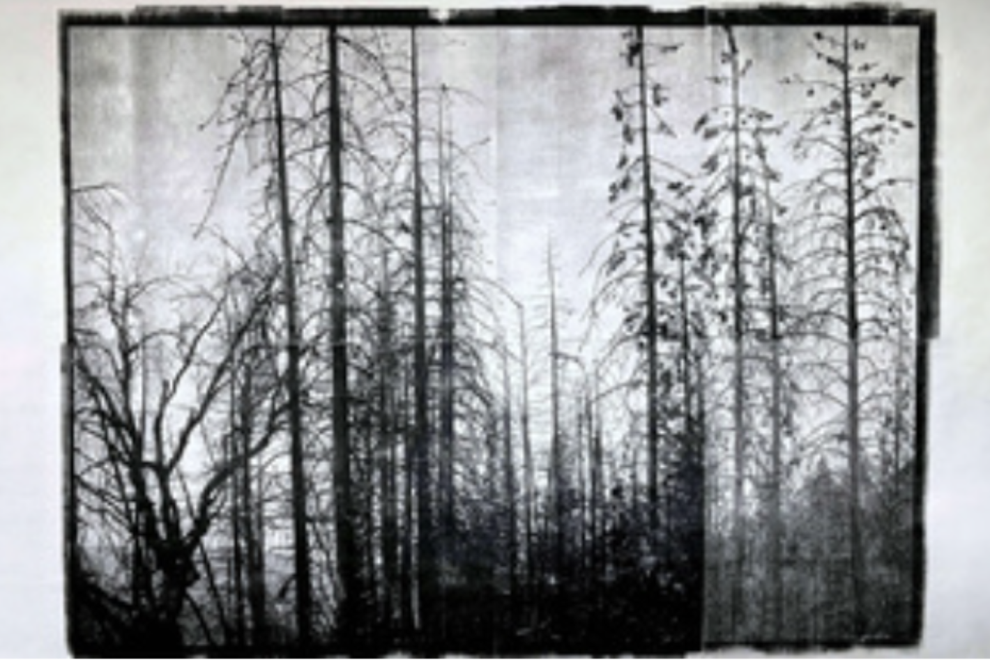 Screenshot 2025 10 16 at 17 16 58