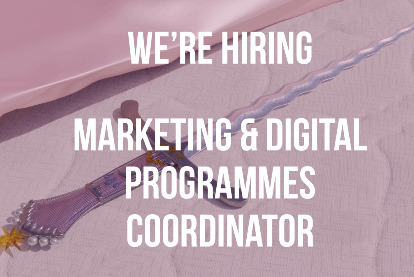 We are hiring Marketing Digital Programmes Assistant