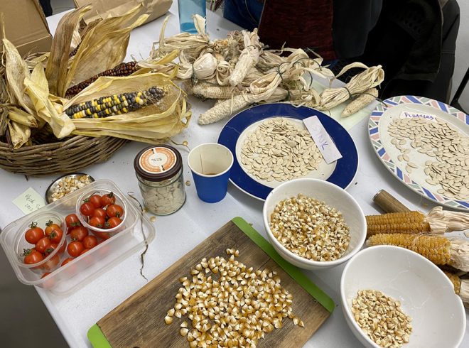 Saving Seeds: Processing of Corn and Pumpkin Seeds