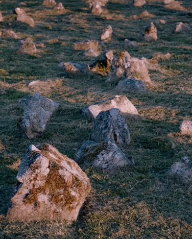 Summer Family Activity: Stone Stories