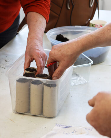 NIMHAF x CCA DLD Seed Library